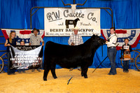 Showmanship Backdrops