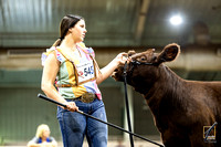 24GABF-SB-6490