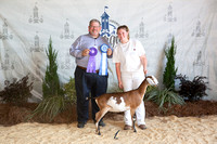 Dairy Goat Show