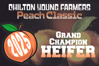 Chilton YF - 24x363