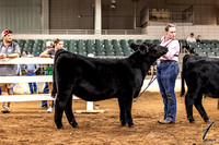 GNF_MRH-4921