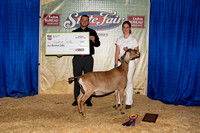 Dairy Goat Show