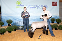 Showmanship Backdrops