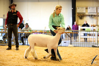 NCStateFair2021-6348