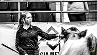 First Year Beef Show Candids