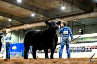 Georgia State Livestock Show