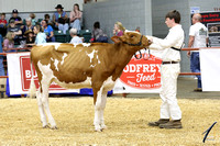 GSLS22-0647
