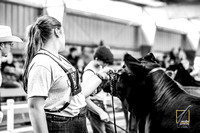 EG1_9597-2