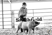 Swine Show