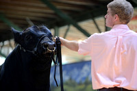 Angus Candids