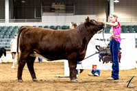 24GABF-SB-7409