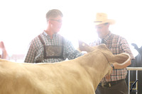 TNBEEFEXPO22-2386