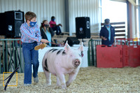 Eastern Carolina 4-H Livestock Show and Sale