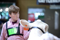 Charolais Candids