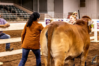 GNF_MRH-4631