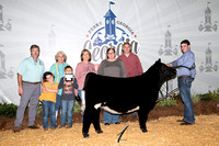 Showmanship, Breeders and County Group Backdrops