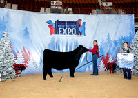 Showmanship Backdrops