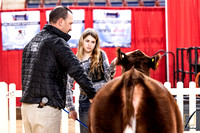 Market Beef Ringshots