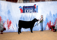 Breeding Show Backdrops