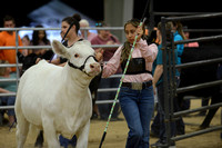 Derby_Day_2021-8392