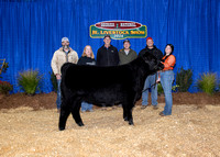County & Breeder Group Backdrops