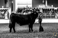 GNF_MRH-0393