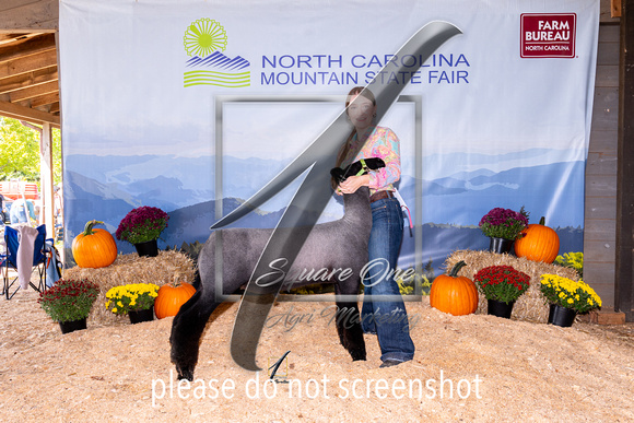 24NCMSF-CA-8261