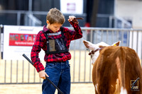 Mini Hereford