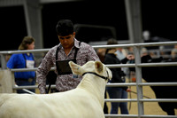 Derby_Day_2021-8403