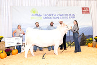 Heifer and Steer Backdrops