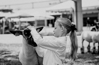 SQ1_8811