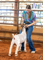 Showmanship Ringshots
