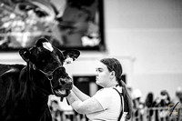 NCSF24-HBW_9088
