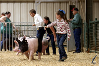 Market Gilt Candids