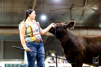 24GABF-SB-6488