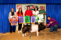Barrow Show Backdrops
