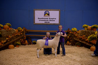 Open Sheep Show