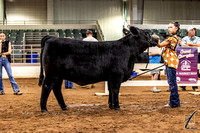 GNF_MRH-4931