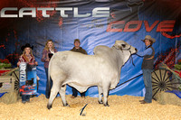 Bull Show Backdrops