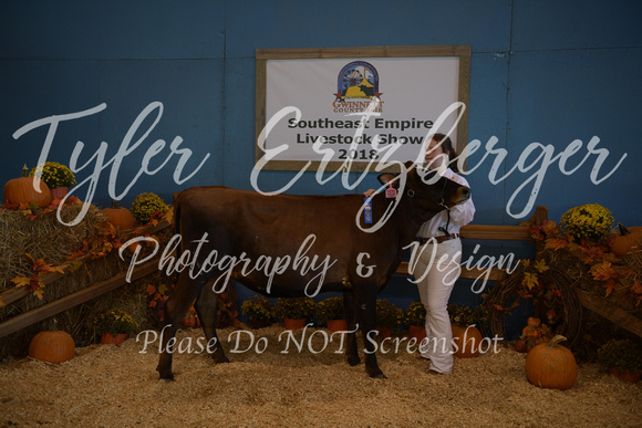 DSC_1089