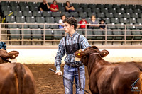 Santa Gertrudis