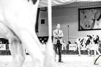 NCSF24-HBW_9096