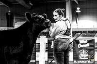 Showmanship