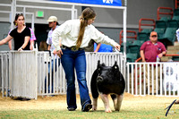 Supreme FFA
