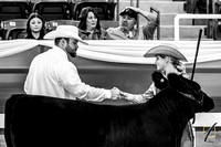 Heifer Show