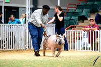 Master 4-H